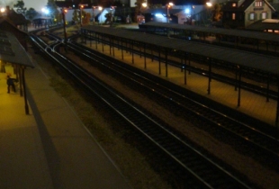DSC01003