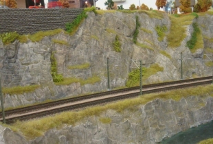 DSC01265