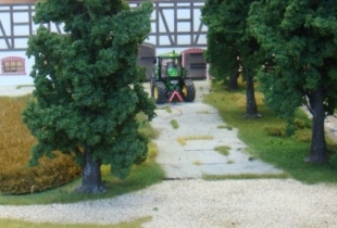 DSC03975