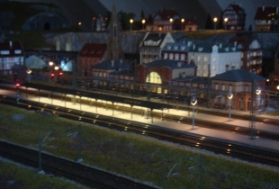 DSC07489