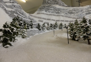 P1010875.JPG