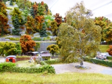 P1020144.JPG