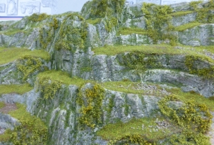 P1330069-800x600