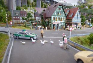 P1000109800x600