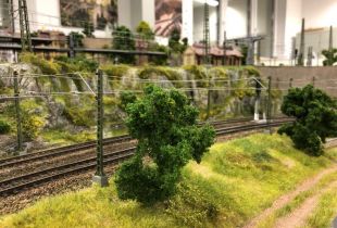 IMG_0468800x600