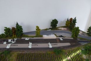 P1040910800x600