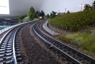 P1040920800x600