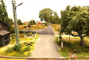 IMG_3645800x600
