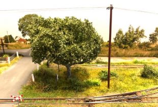 IMG_3647800x600