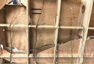 IMG_4197800x600