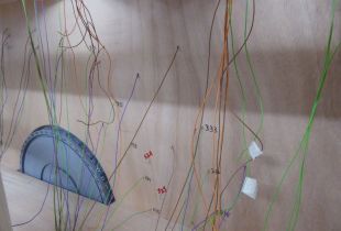 P1120361800x600