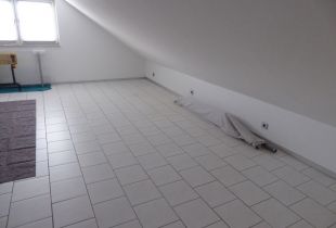 P1170442800x600