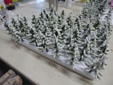 P1300460800x600