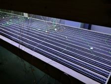 IMG_3873800x600