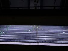 IMG_3880800x600