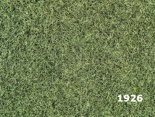 1926-Wildgras-Winter 1926-Wildgras-Winter